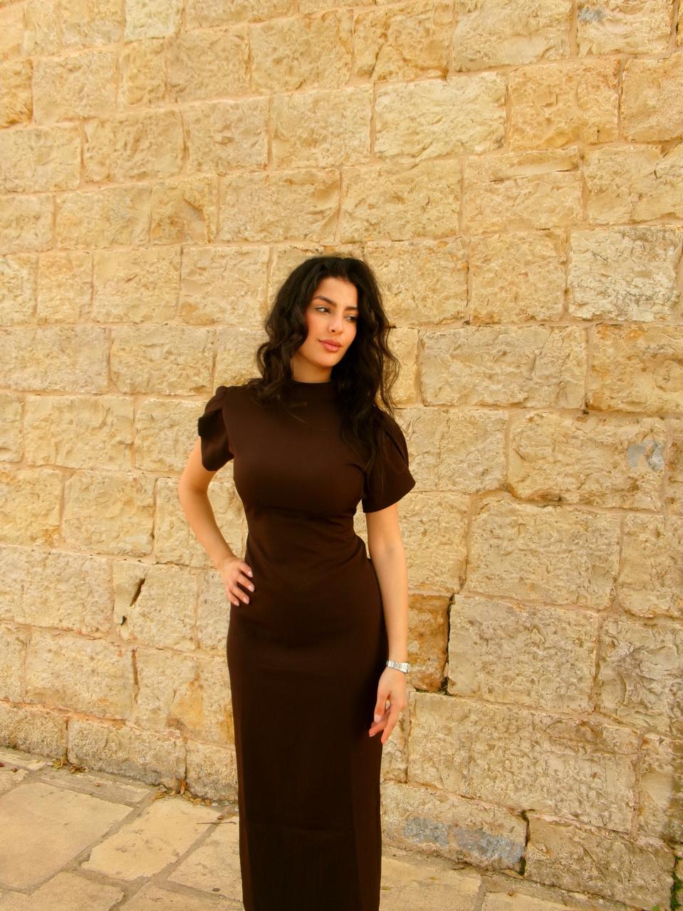 Brown Long Dress